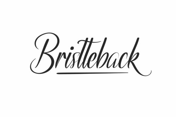 Bristteback Font for Business