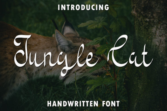 Jungle Cat Font for Web Design
