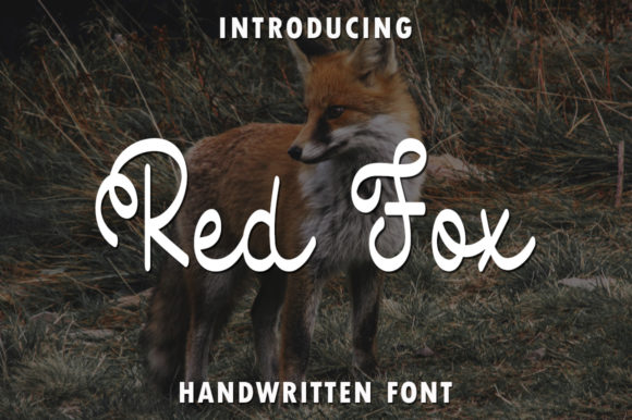 Red Fox: A Friendly Handwritten Font