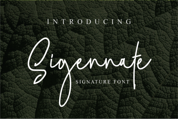Sigennate: A Refined Script Font