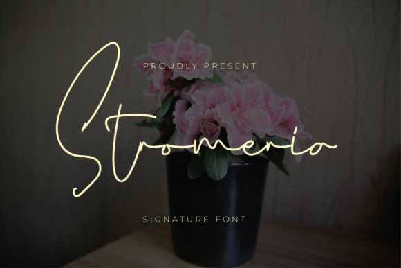 Stromeria: A Delicate Script Font